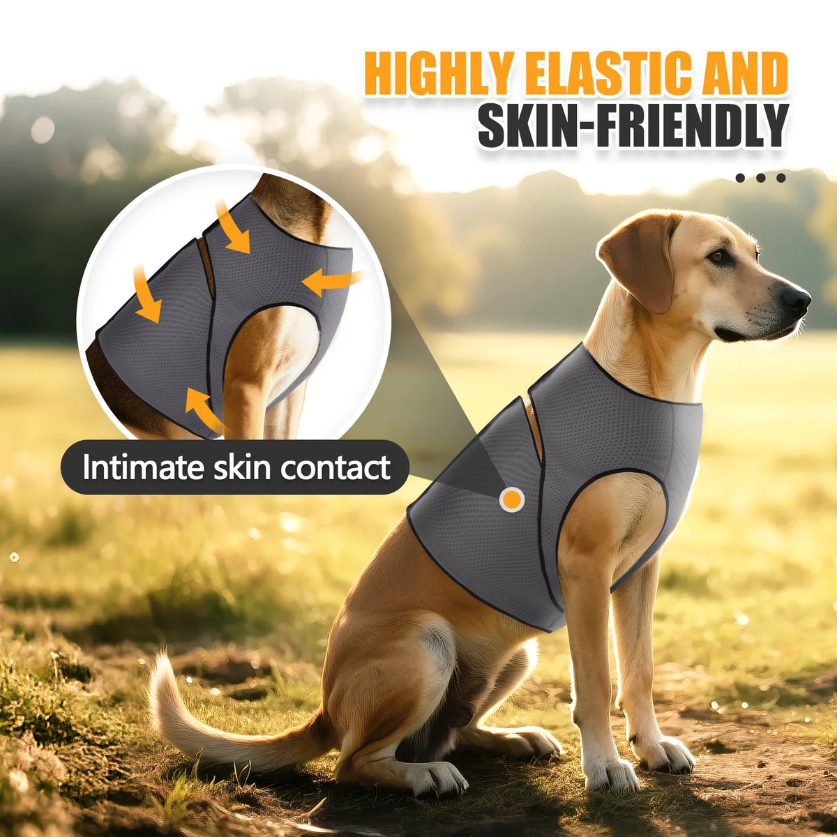 Dog Anxiety Jacket, Dog Coat for Thunder, - ProPawPet.com