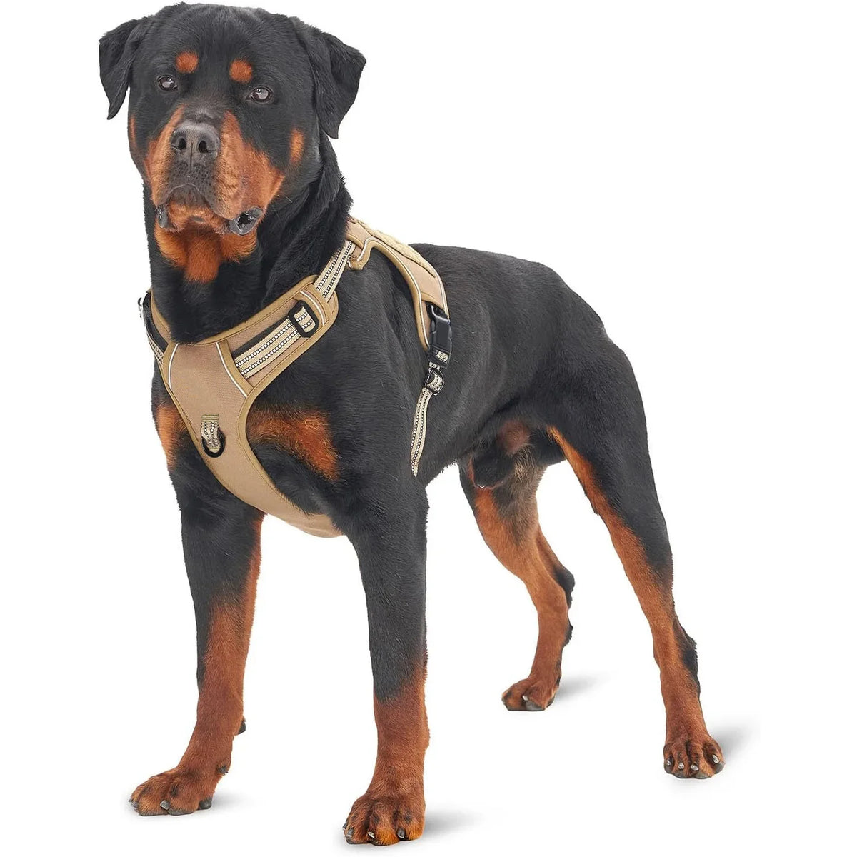 Painless No Pull Large Dog Tactical Harness - ProPawPet.com