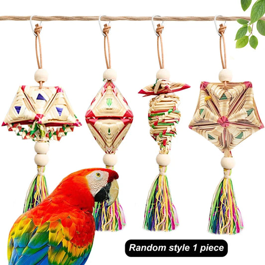 1 Pc Random Style Pet Parrot Bird Chew Toys - ProPawPet.com