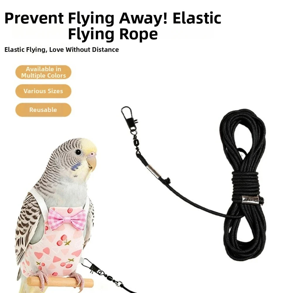 Colorful Fruit Bird Harness Leash 2m Rope - ProPawPet.com
