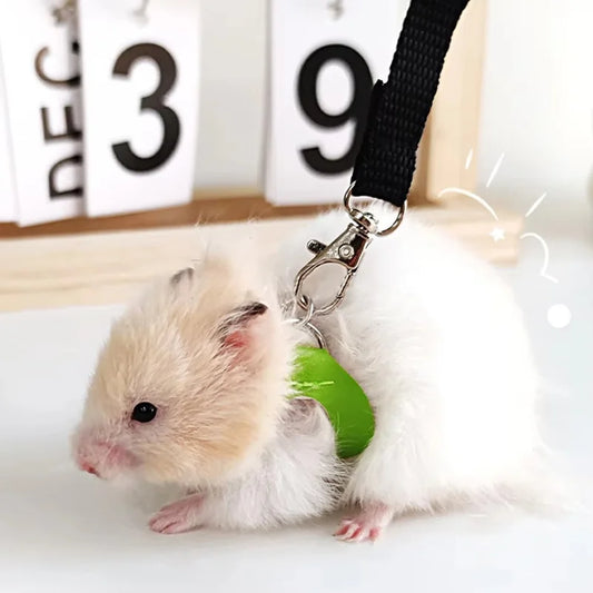 Set Escape-Proof Adjustable Collar for Pet - ProPawPet.com