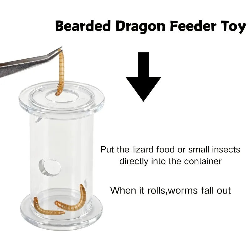 4/10pcs Interactive Feeding Toys for Bearded - ProPawPet.com