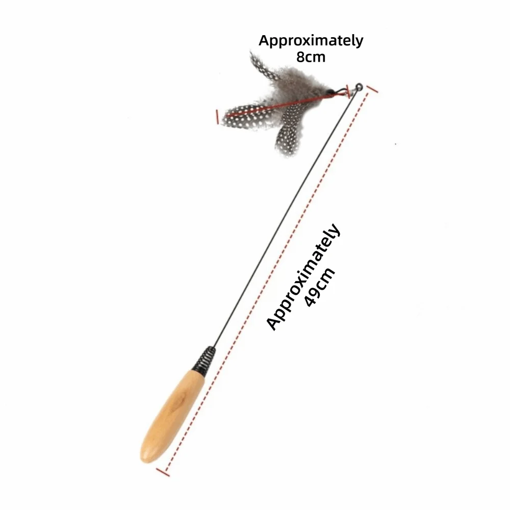 Wooden Handle Spring Teasing Cat Stick - ProPawPet.com