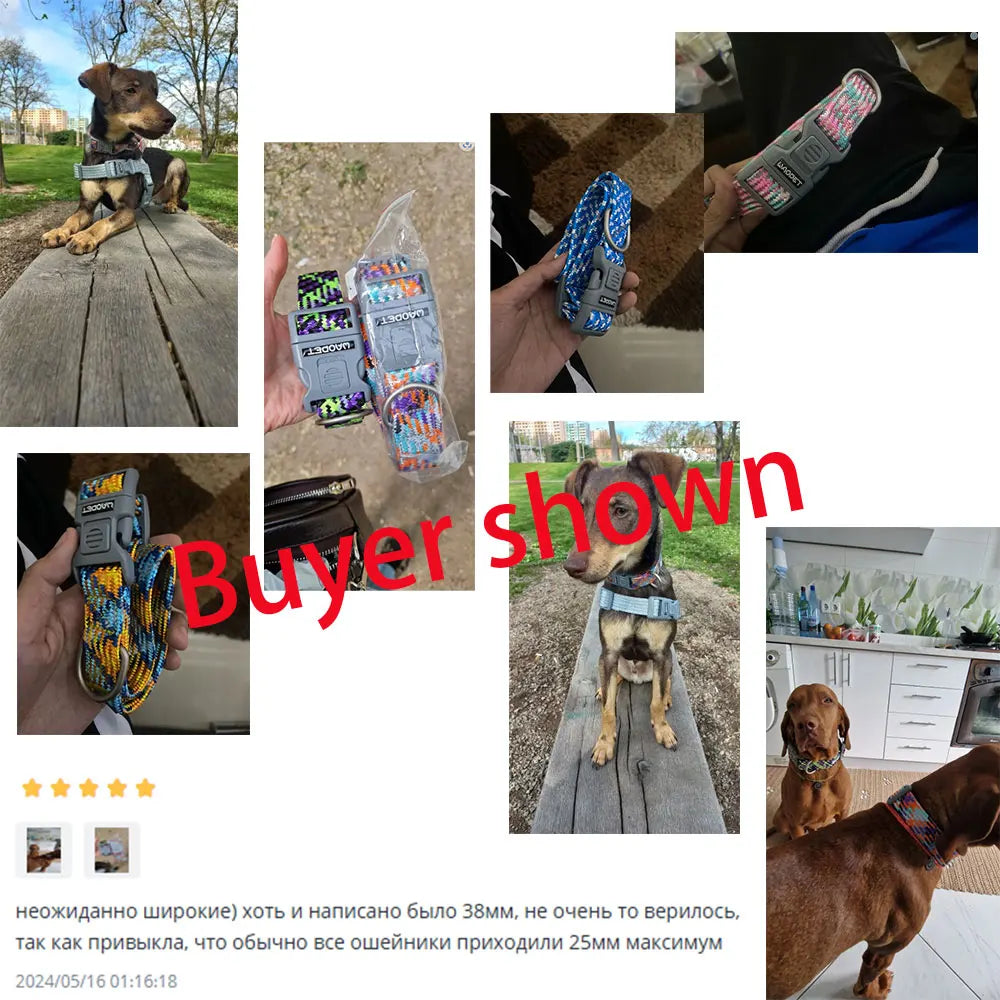 Pet Supplies Dog Collar For Puppy Medium - ProPawPet.com