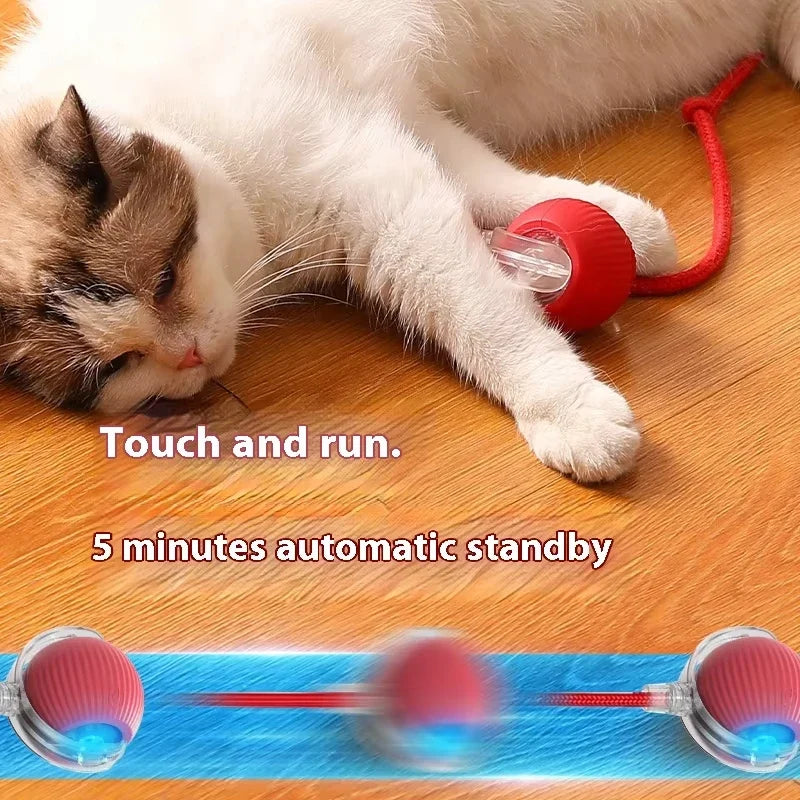 Dog Interactive Ball Toy Automatic Rolling - ProPawPet.com