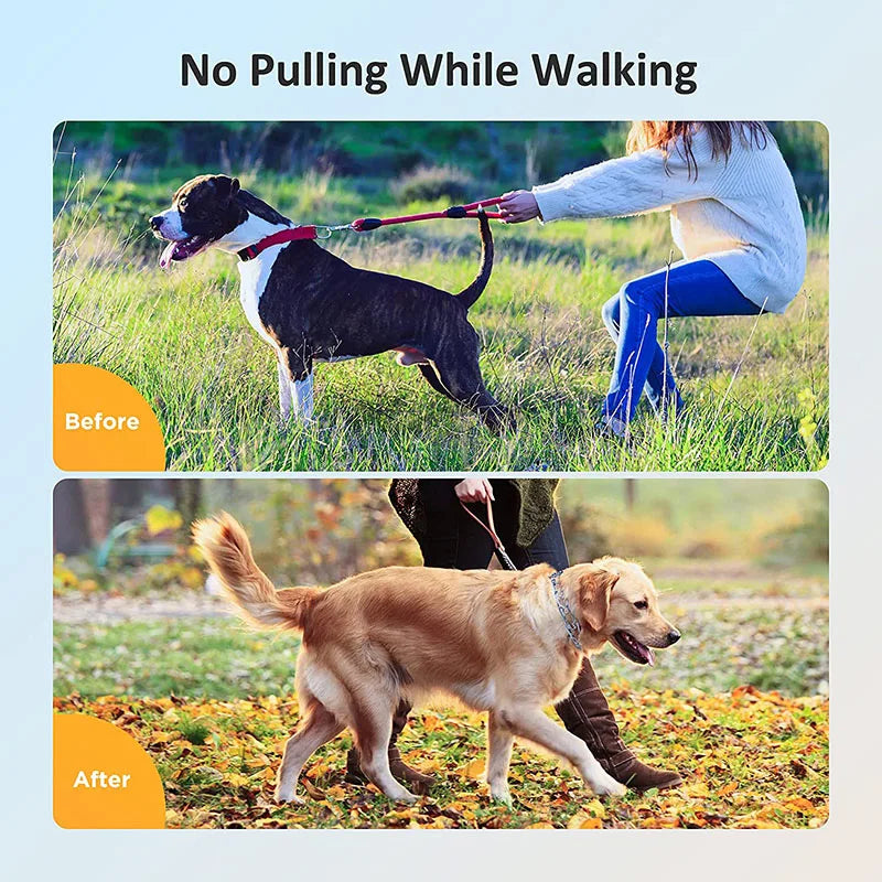 Effective Pinch Dog Training Collar With - ProPawPet.com