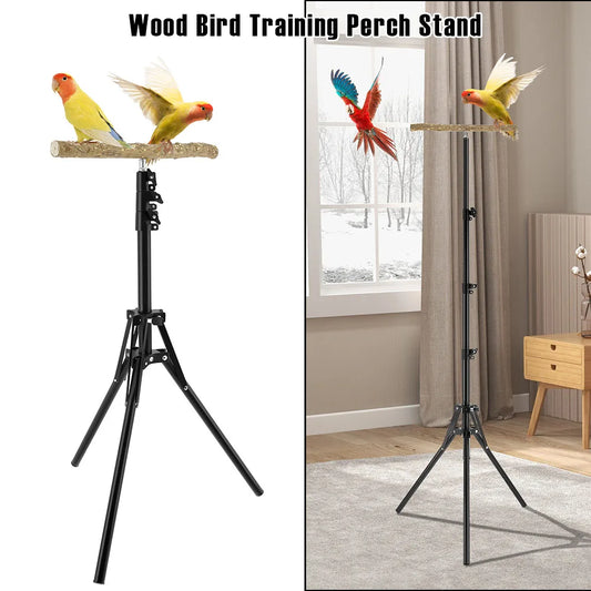Wood Bird Training Perch Stand Height - ProPawPet.com