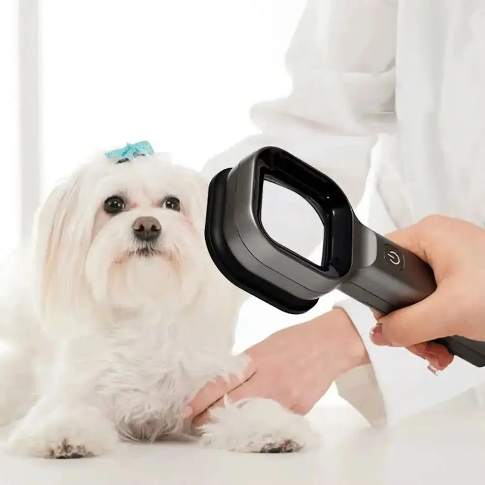 Pet Supplies Wood's Lamp USB Charging - ProPawPet.com