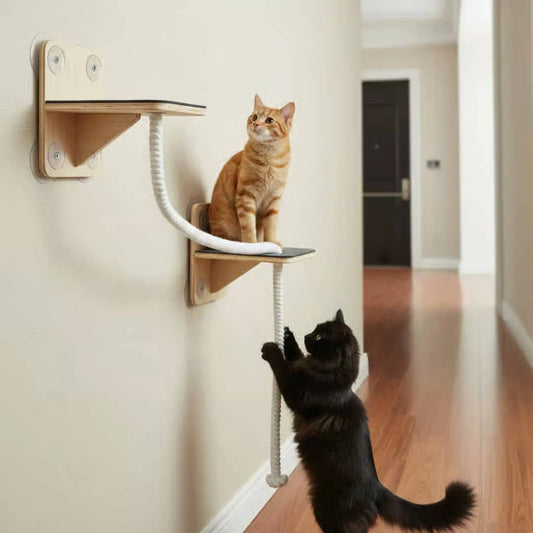 Stacked Cat Cat Lounger Breathable Mesh - ProPawPet.com