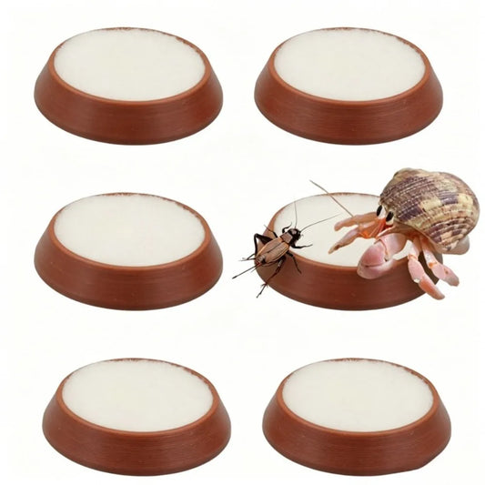 6pcs Portable Reusable Reptile Feeding Dish - ProPawPet.com