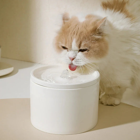 Water Dispenser Cat Automatic Water - ProPawPet.com