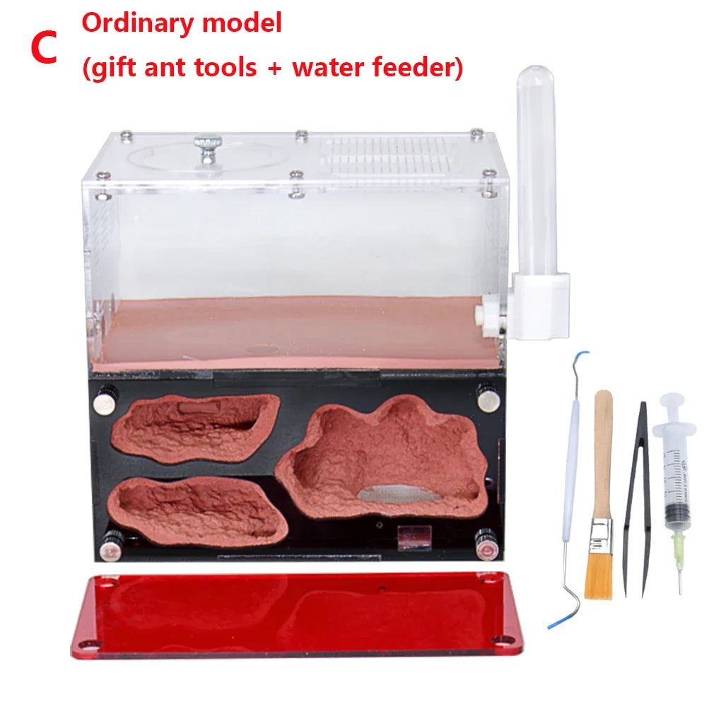 Acrylic Ant Farm Temperature Control Concrete Nest – Coops, Nests & Incubators