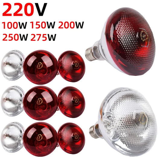 Poultry Heat Lamp Bulb 220V Infrared Ray - ProPawPet.com
