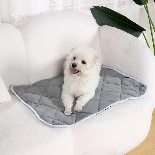 Self-Warming Pet Blanket for Outdoor Use - - ProPawPet.com