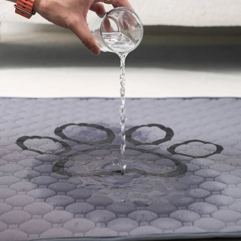 Pet Absorbent Diaper Mat Waterproof and Anti - ProPawPet.com