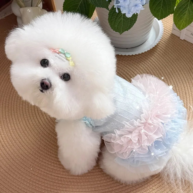 Summer Dog Gauze Skirt Blue Light CoolTeddy - ProPawPet.com