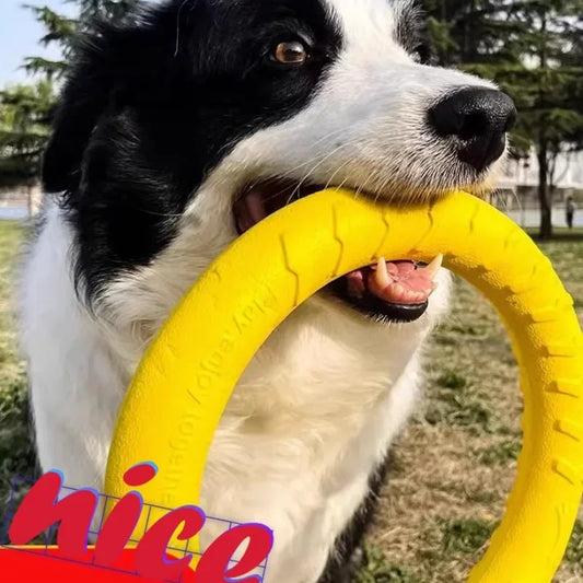 Dog Toy Bite Resistant Touring Frisbee - ProPawPet.com