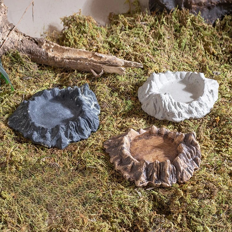 Natural Reptile Food & Water Dish - - ProPawPet.com