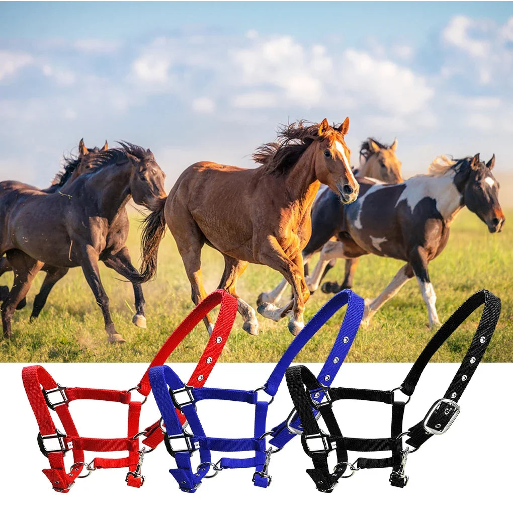Padded Halter Pony Bridle Head Collar - ProPawPet.com