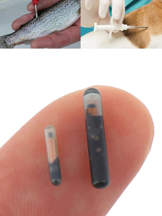 RFID Microchip Animal ID Mini ISO Compliant - ProPawPet.com