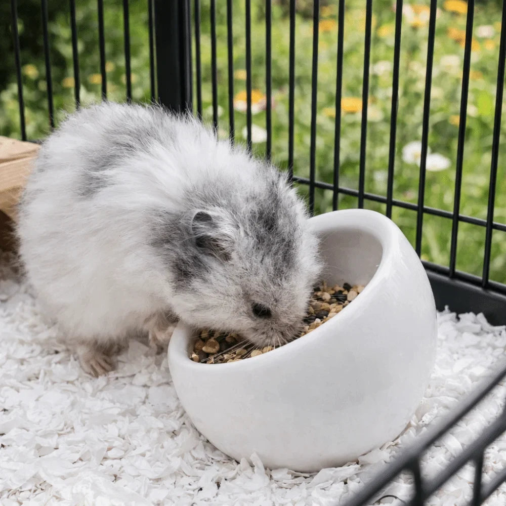 Ceramic Hamster Food Bowl Anti-Rollover - ProPawPet.com