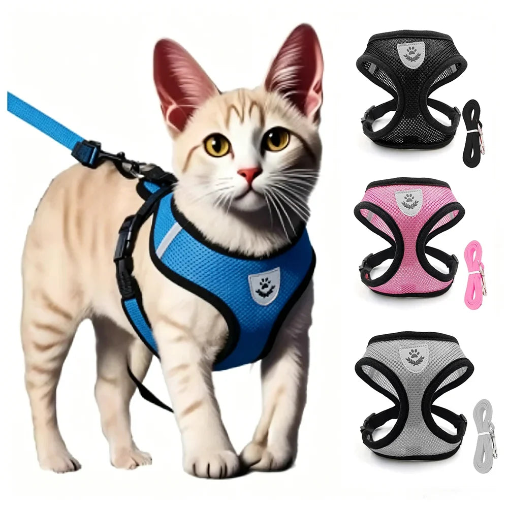 Safe Premium Adjustable Cat Harness and - ProPawPet.com
