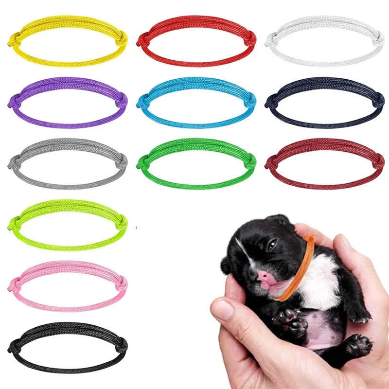 Adjustable Puppy ID Bands Multi-Coloured - ProPawPet.com