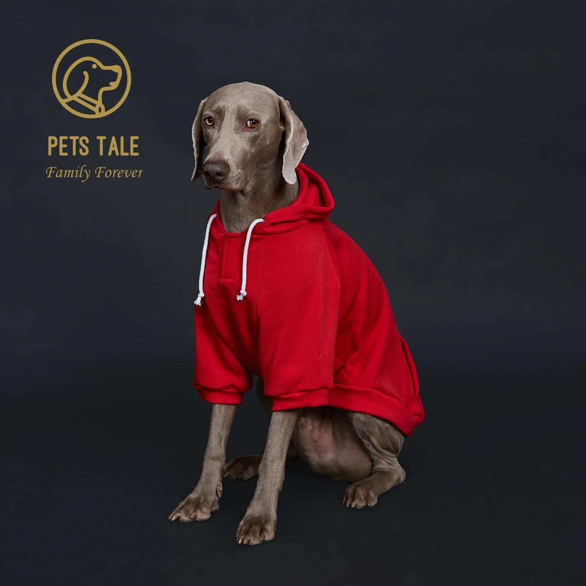 Solid Color Dog Hoodie with Pocket, Leather - ProPawPet.com