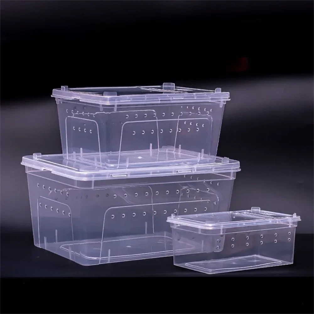 Transparent Reptile Breeding Box Ventilated - ProPawPet.com