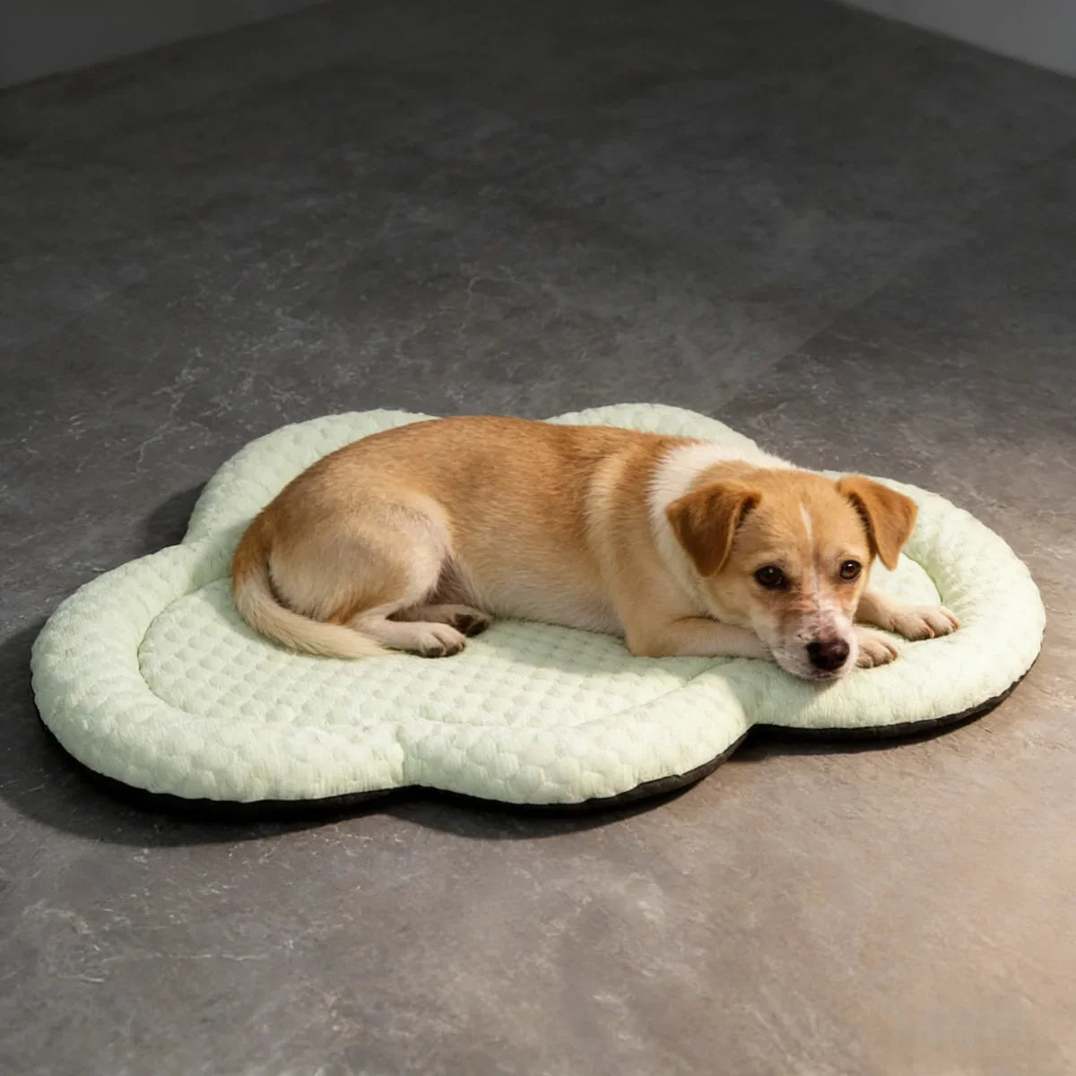 Cloud Shape Ice Silk Pet Cooling Mat Summer - ProPawPet.com