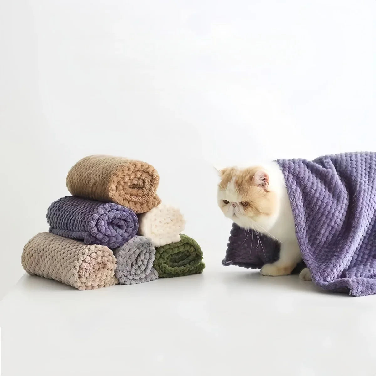 70x100CM Ultra-Soft Fluffy Pet Blanket, - ProPawPet.com