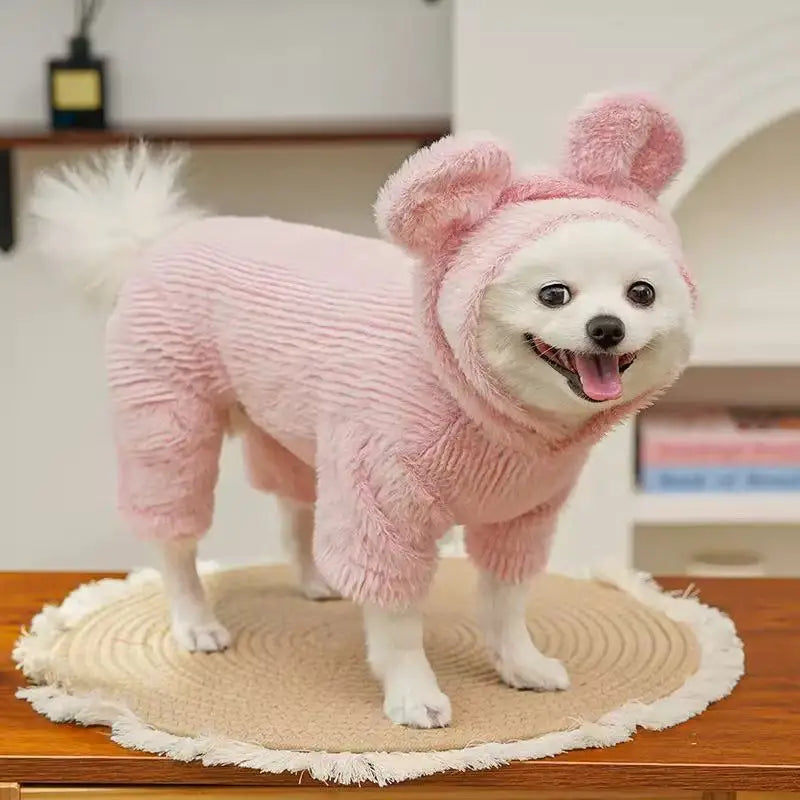 Fashion Cat Dog Hoodie with Buckle Winter - ProPawPet.com