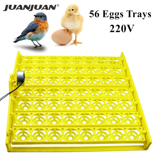56 154 Egg Incubator Automatic Turning Tray - ProPawPet.com