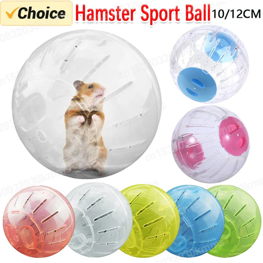 10/12cm Outdoor Sport Ball Grounder Rat - ProPawPet.com