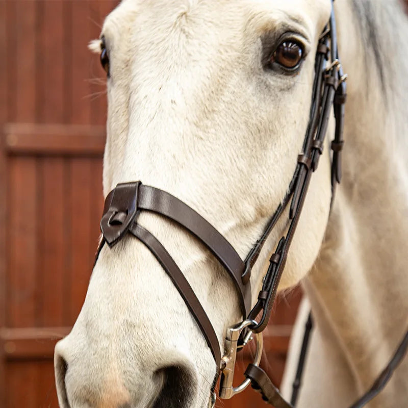 Pure Cowhide Flat Leather Water Leash Bridle - ProPawPet.com