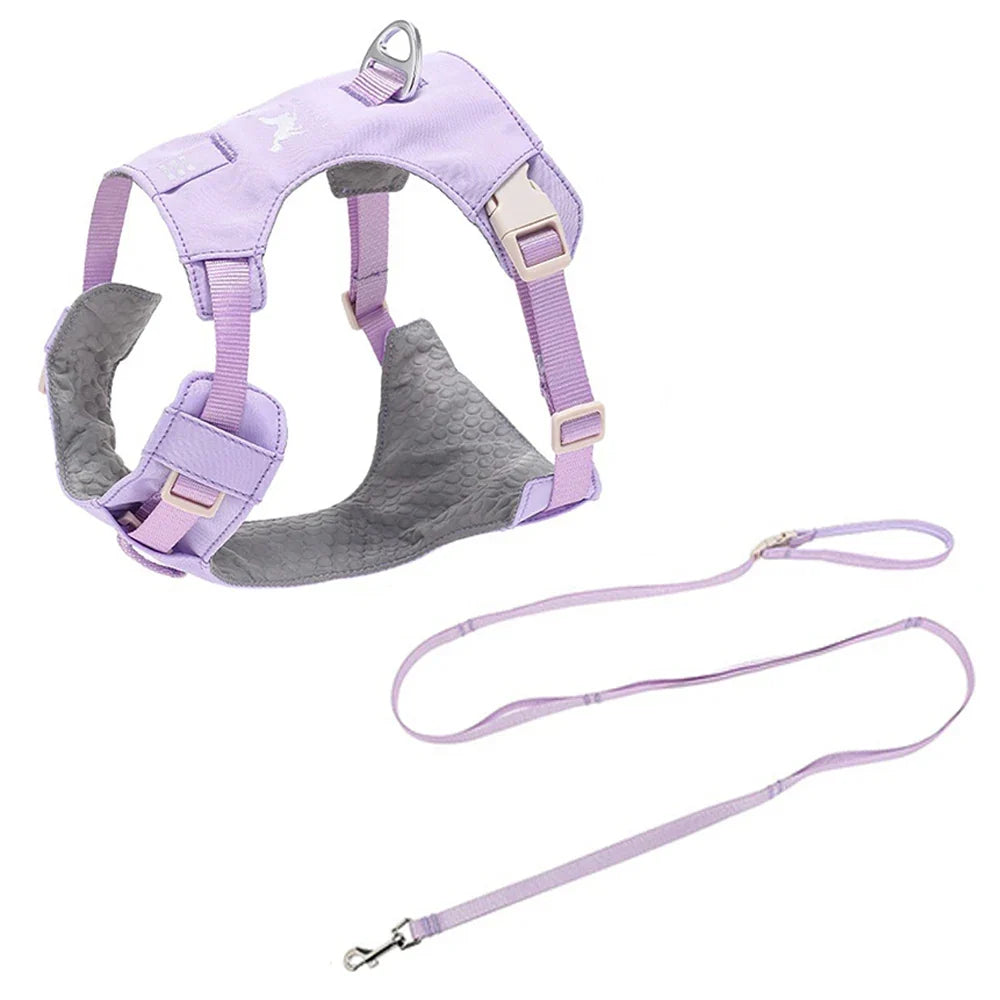 Lightweight Dog Harness & Leash Set - ProPawPet.com