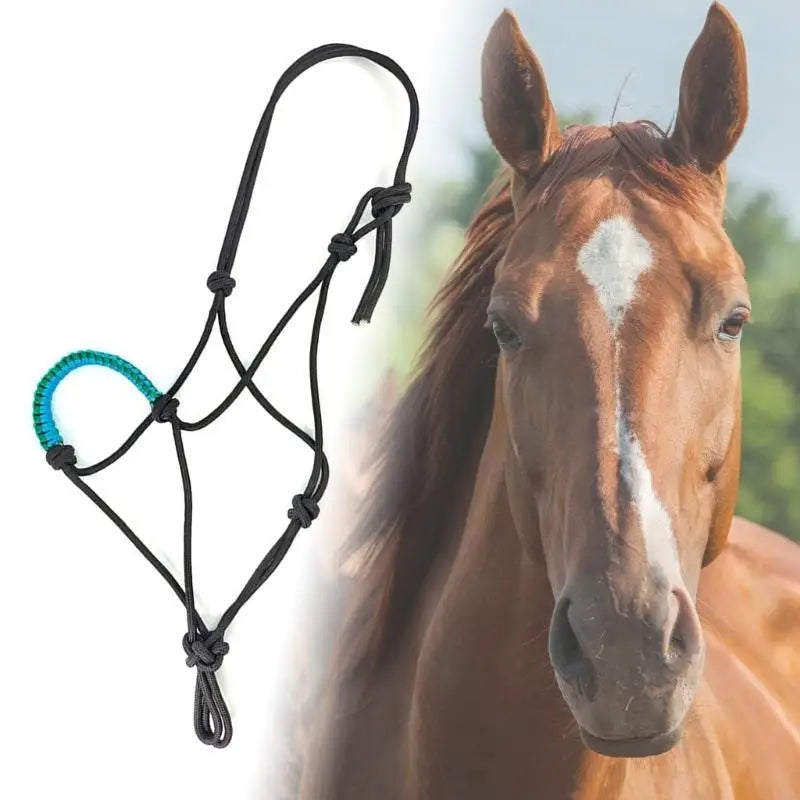P88E Horse Halter Wear Resistant Rope Halter - ProPawPet.com