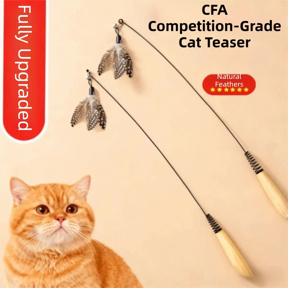 Wooden Handle Spring Teasing Cat Stick - ProPawPet.com