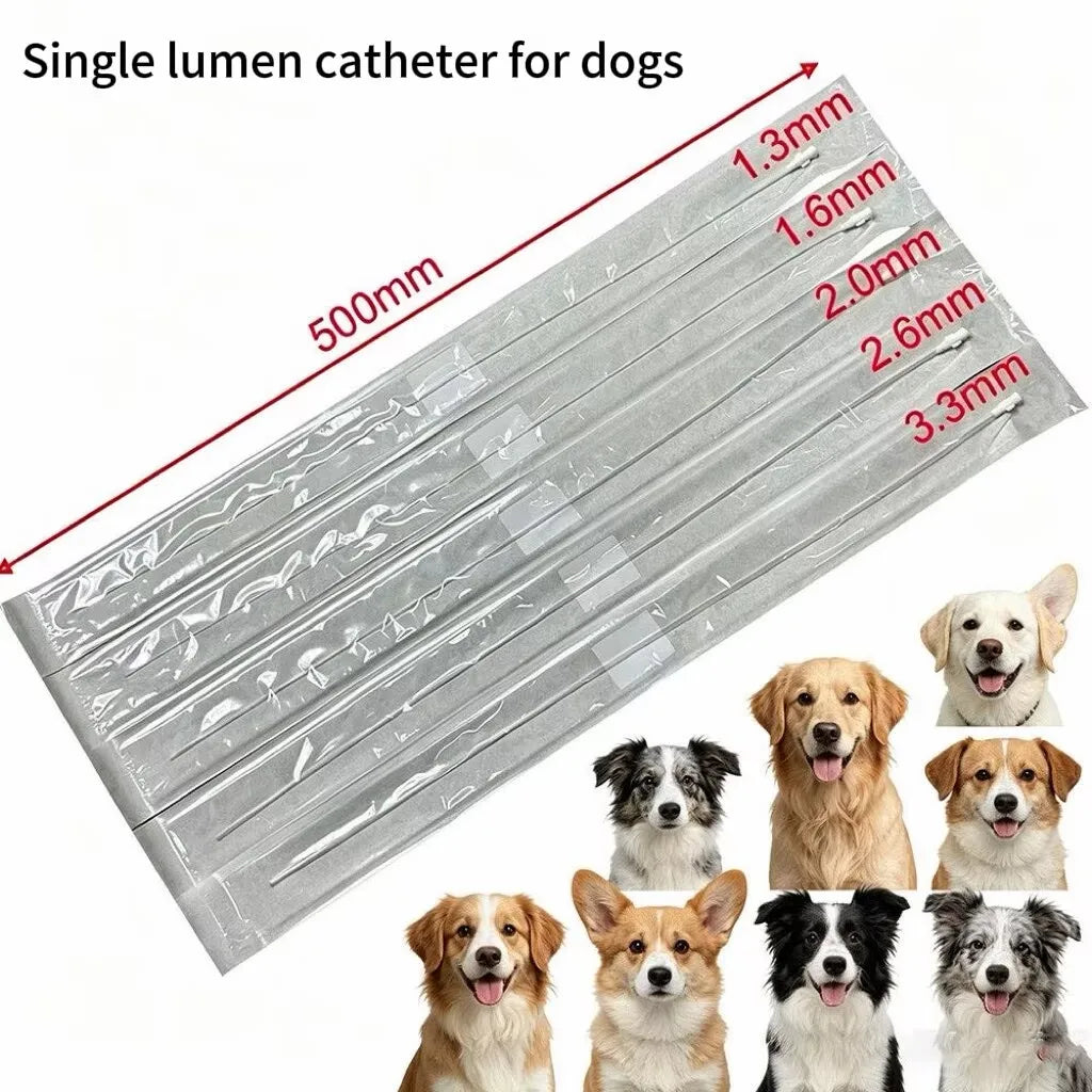 Single lumen PVC sterile two side opening - ProPawPet.com