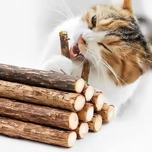 5-50pcs Catnip Stick Pet Cat Molar Toys - ProPawPet.com