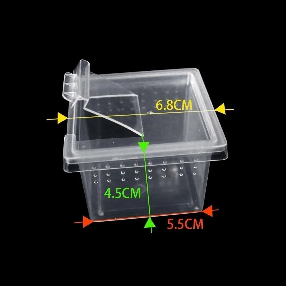 Clear Plastic Reptile Living Box Insect Rearing Food Feeding – 3 Colors
