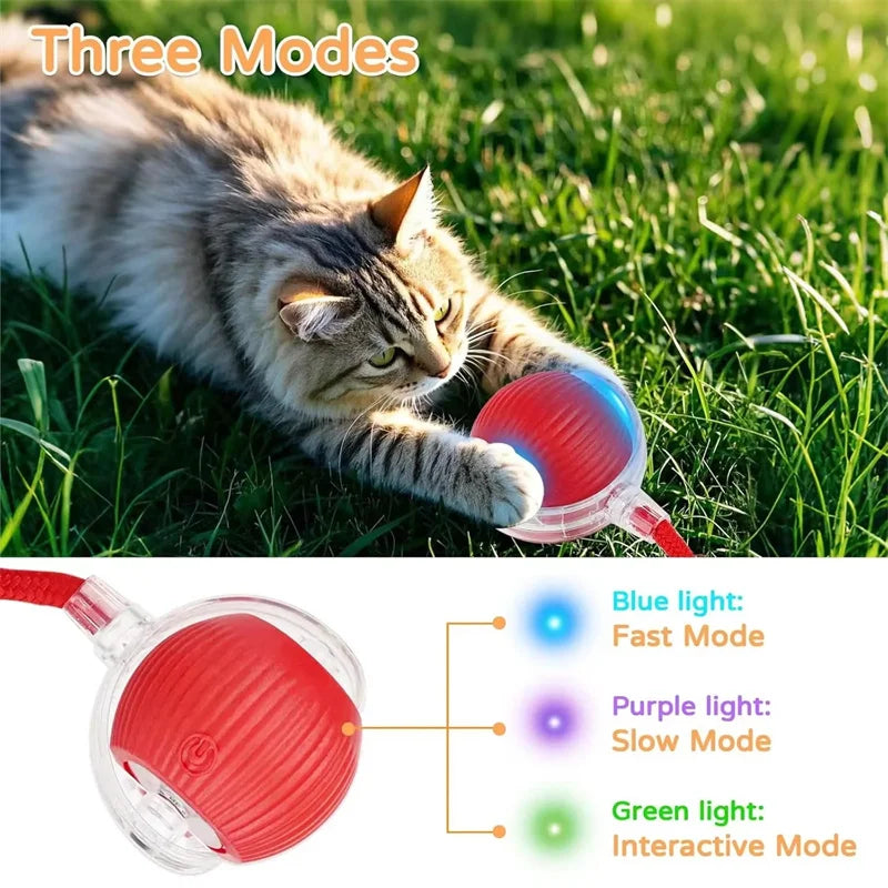Dog Cat Interactive Ball Toy Automatic - ProPawPet.com