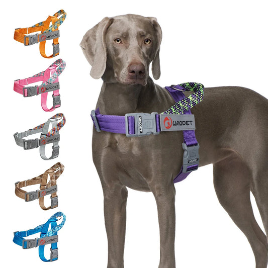 Durable Collar Harness for Small Medium and - ProPawPet.com