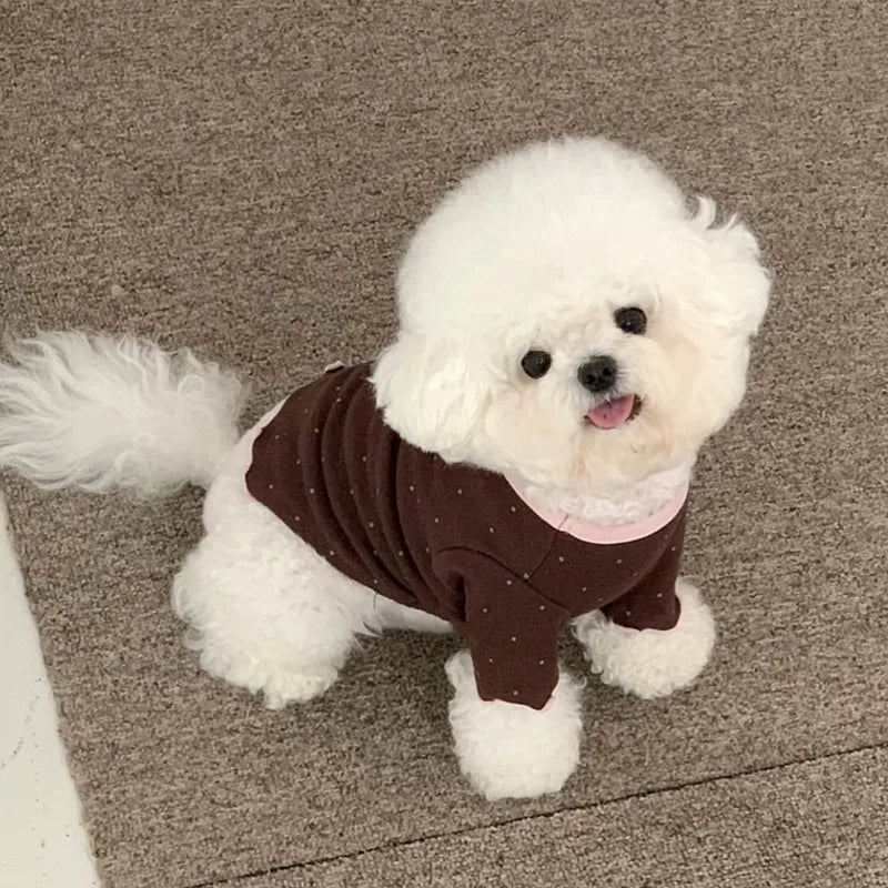 Pet Autumn/Winter Round Neck T-shirt Teddy - ProPawPet.com