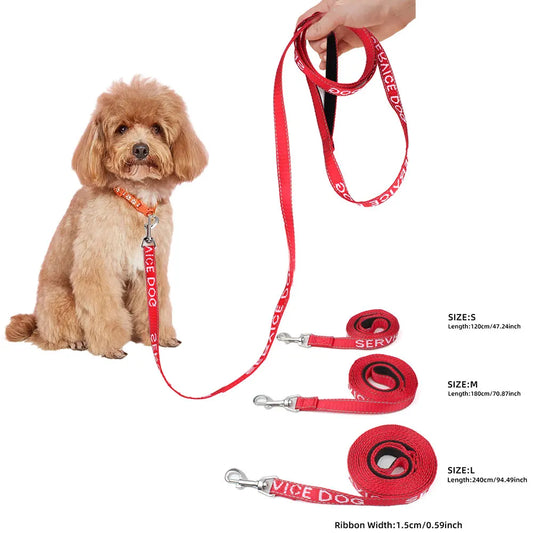 Red Dog Leash For Medium and Small Outdoor - ProPawPet.com