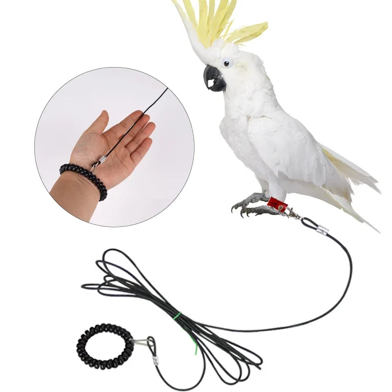 Pet Bird Outdoor Training Harness Rope Bird - ProPawPet.com