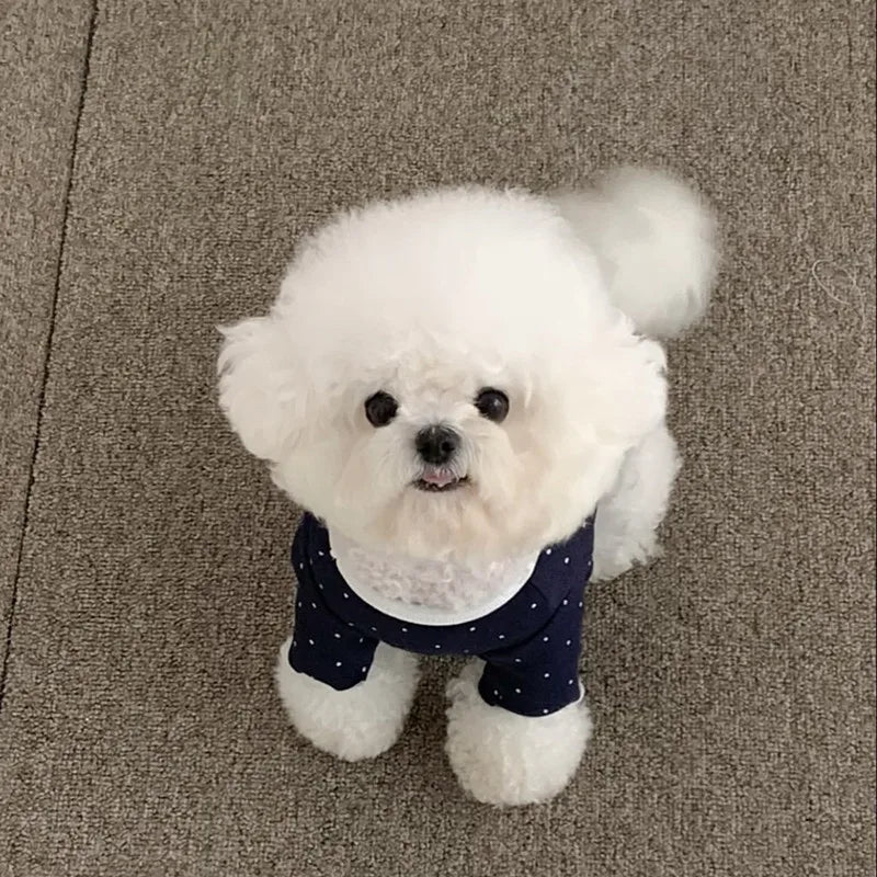 Pet Autumn/Winter Round Neck T-shirt Teddy - ProPawPet.com