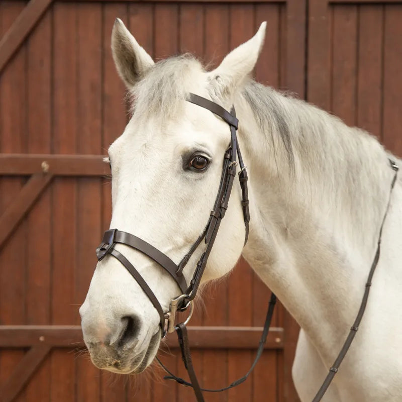 Pure Cowhide Flat Leather Water Leash Bridle - ProPawPet.com