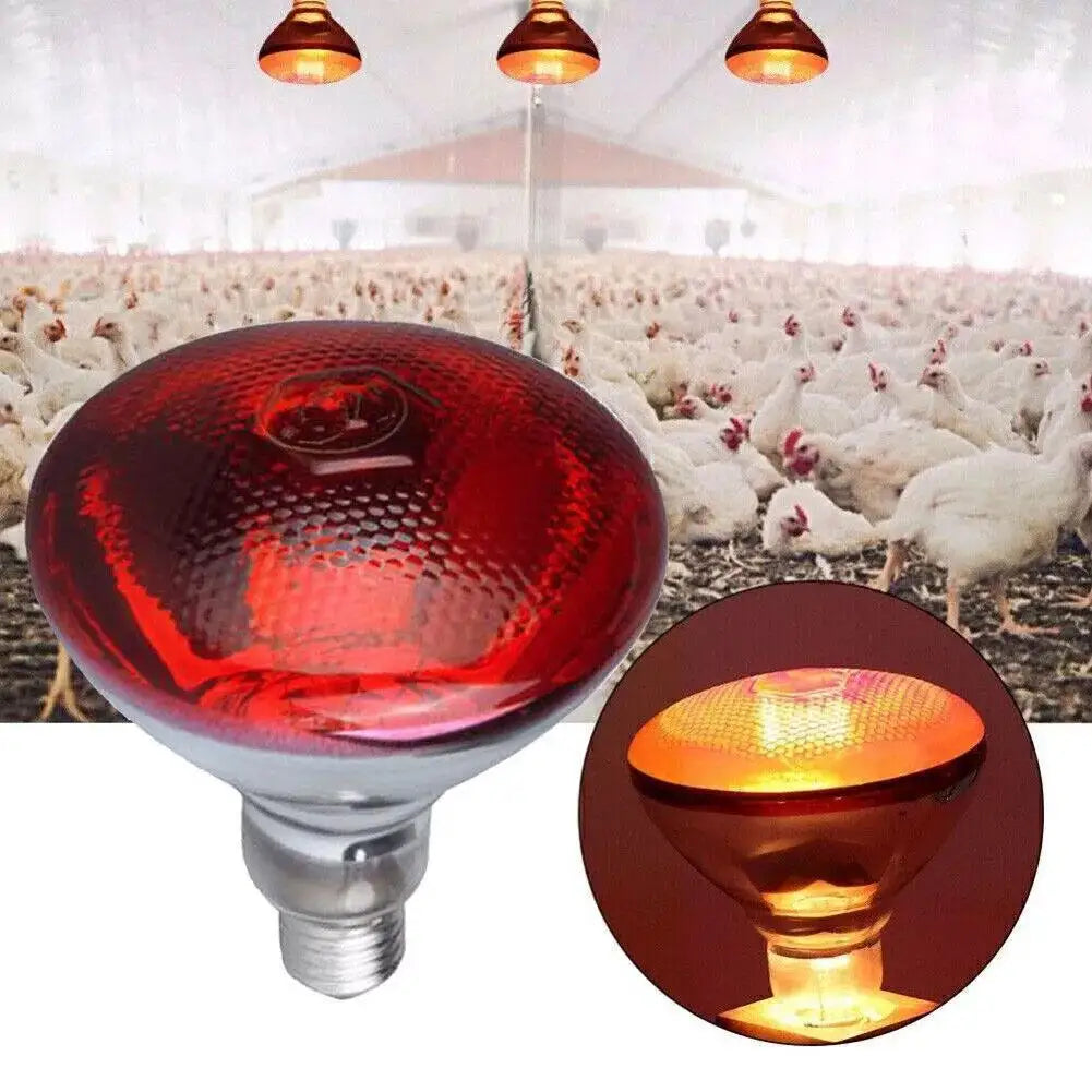 100w 150w 175w 200w 250w 275w Pet Red - ProPawPet.com