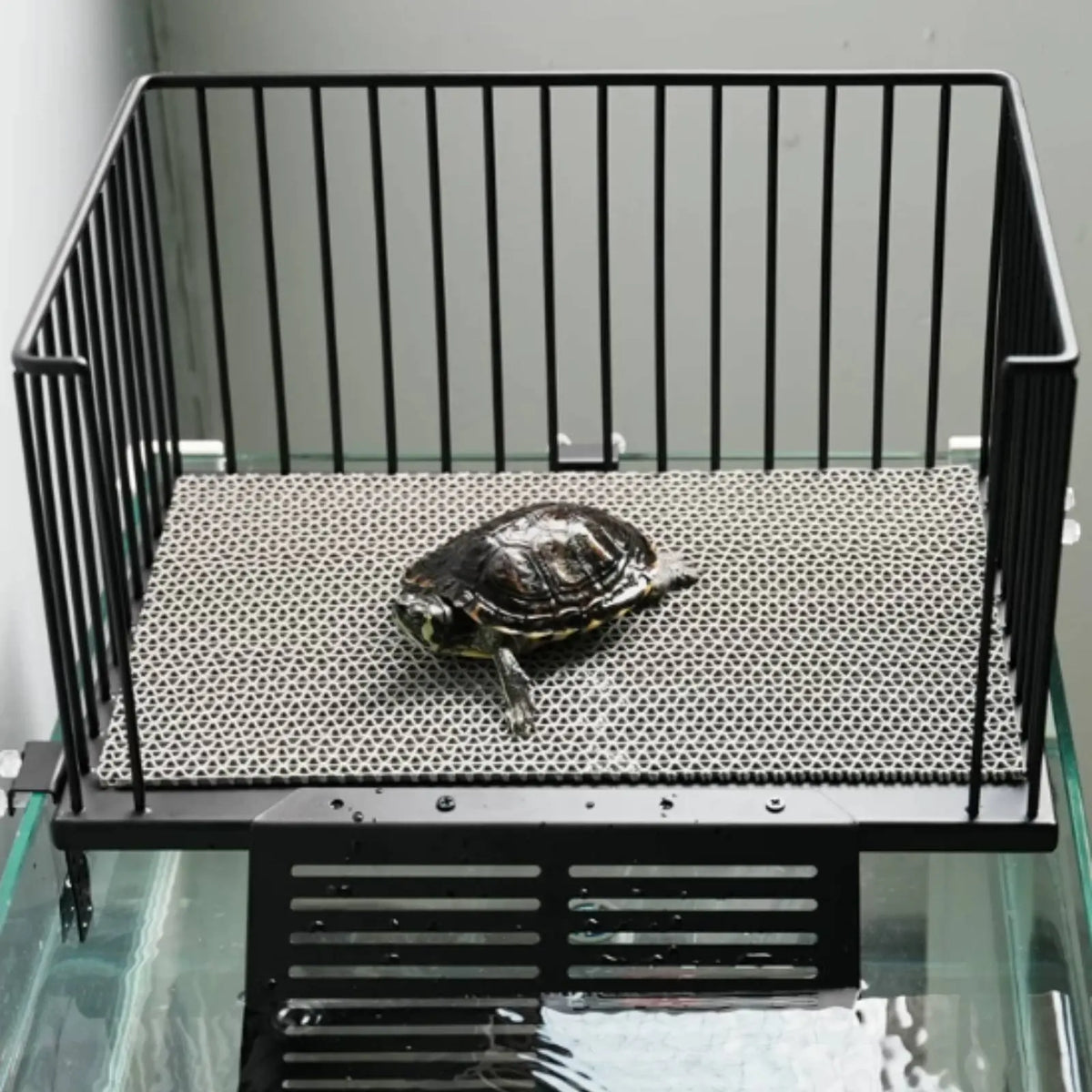Stainless Steel Basking Dock Anti-Escape - ProPawPet.com